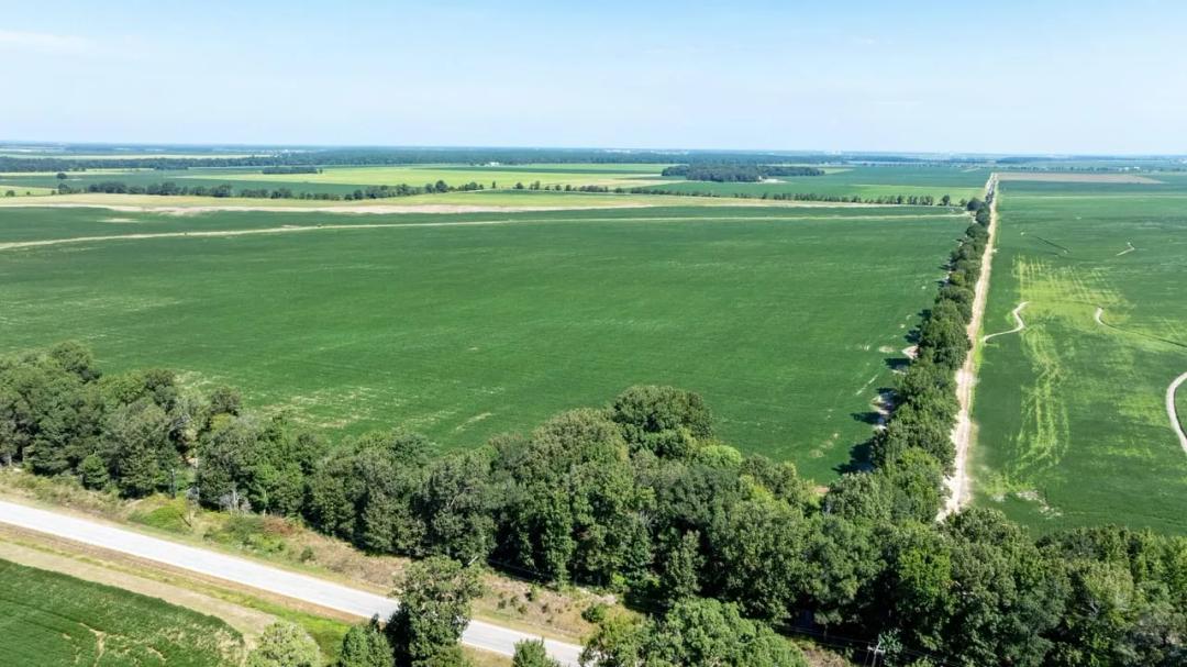 118 +/- Acre Row Crop Farm for Sale in Fisher, Arkansas | Irrigated Farmland & Duck Hunting