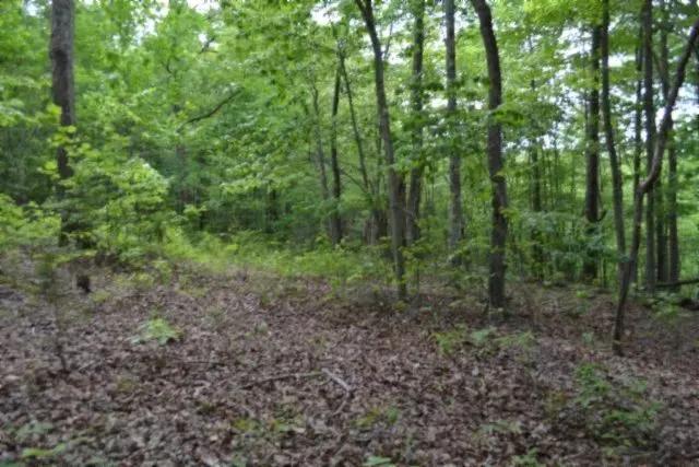 5.01 AC W/ MTN VIEWS – CREEK – BUILDING SITE – NO RESTRIC 