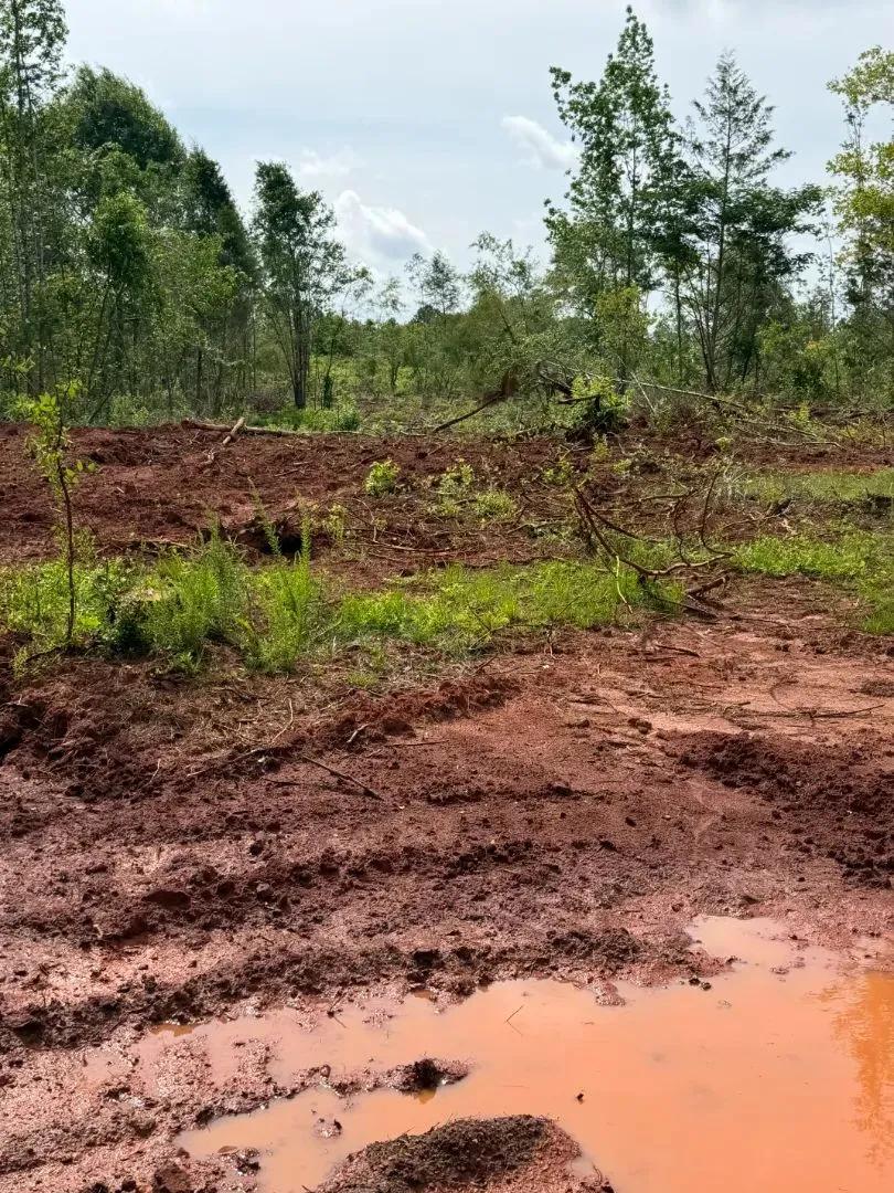 276.62 Acres Crenshaw County, AL 