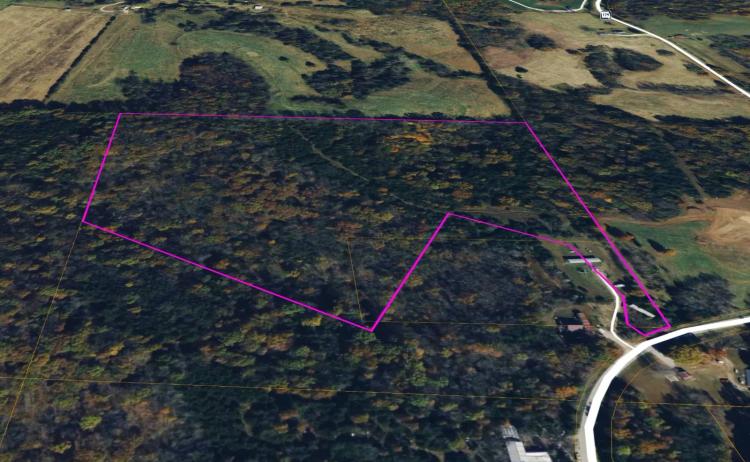 27.00 Acres at 29545 Highway 17