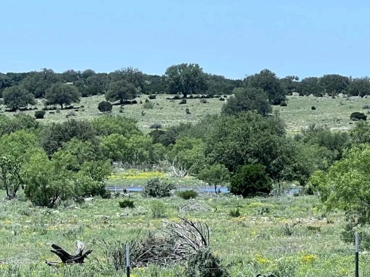 PRICE DROP - Texas Land for Sale in Sutton County near Sonora