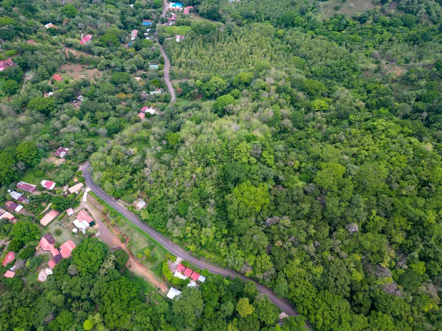 DJI_0225