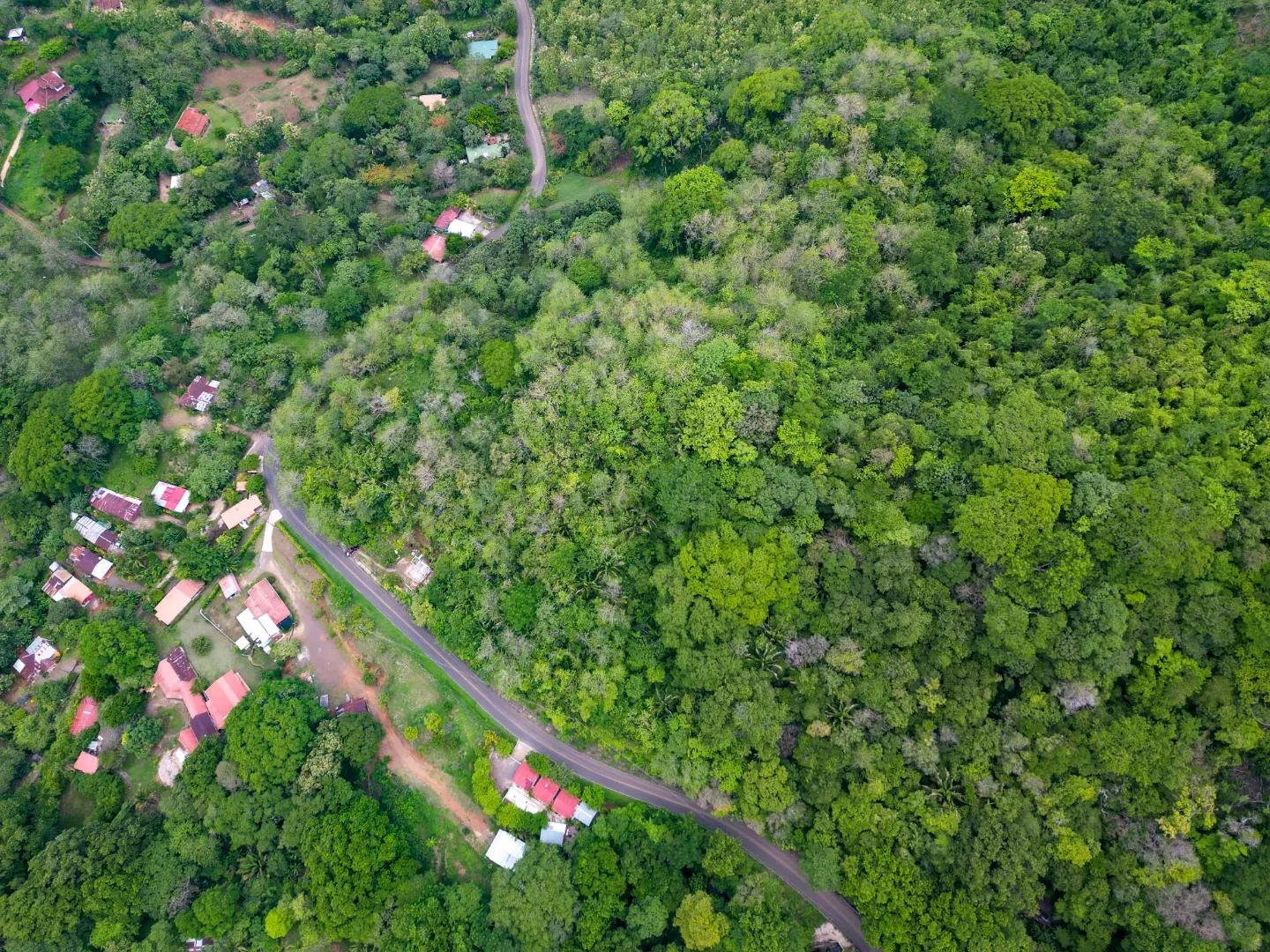 DJI_0226