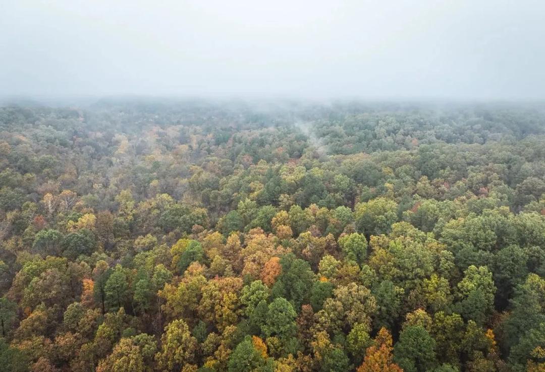 Marquart Hunting Camp Tract 4