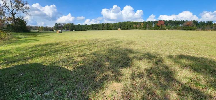 23.831 ACRES, SHELBY COUNTY, TEXAS
