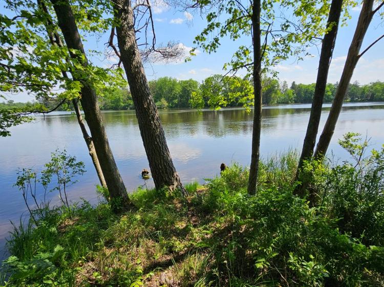 6 Acre waterfront property in Monroe County near Sparta, WI