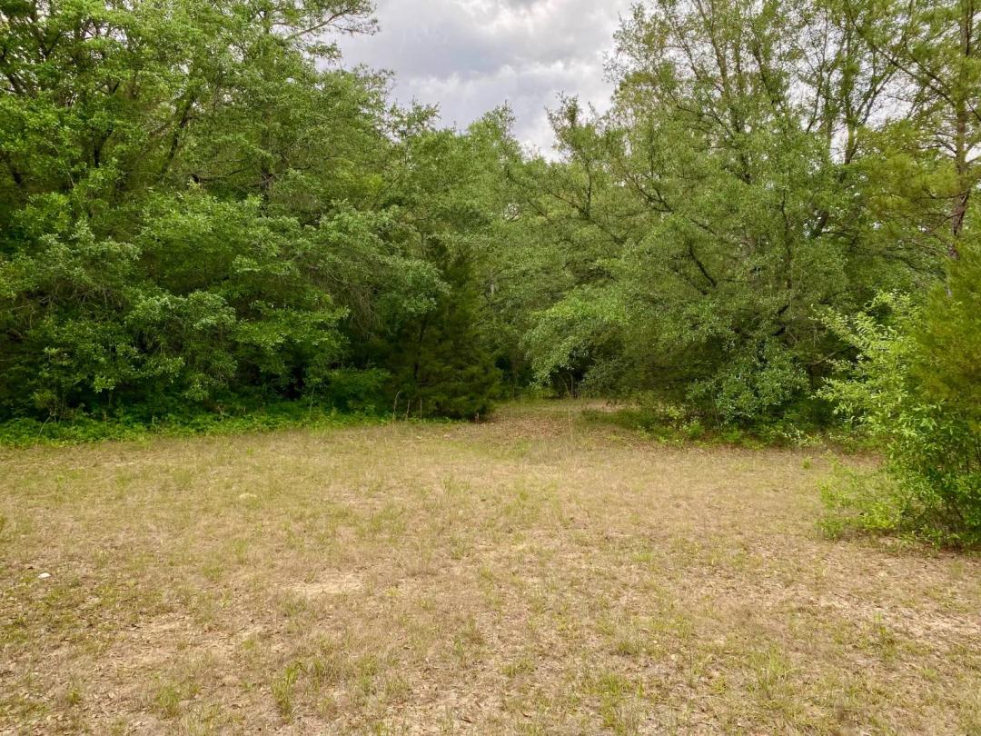 3+/- Acres Grove Rd. Hartford, AL 36344