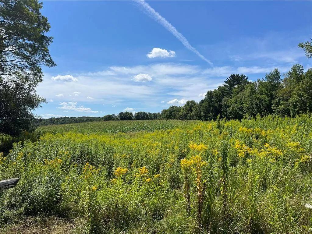 20.27 Acres at 181 Short Crumhorn Rd