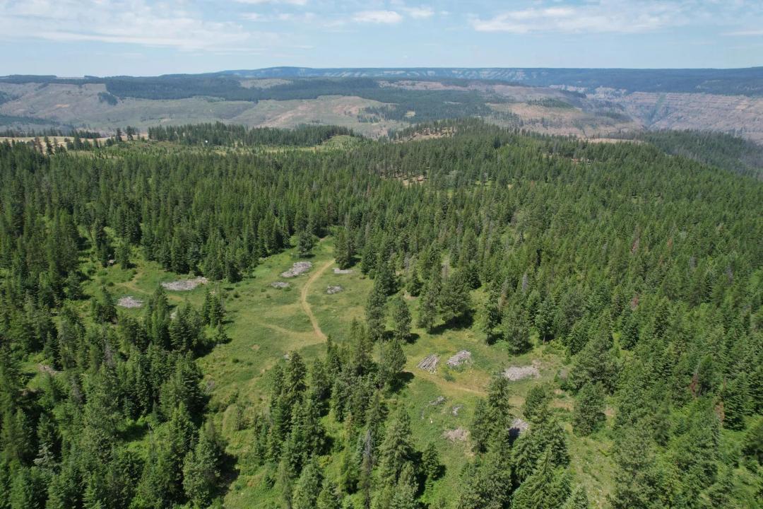 Wallowa Timber Ranch