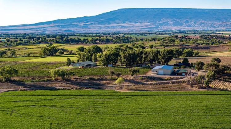 Berkeley Estate Cellars - 218-Acre Vineyard & Farm/Ranch in Olathe, CO