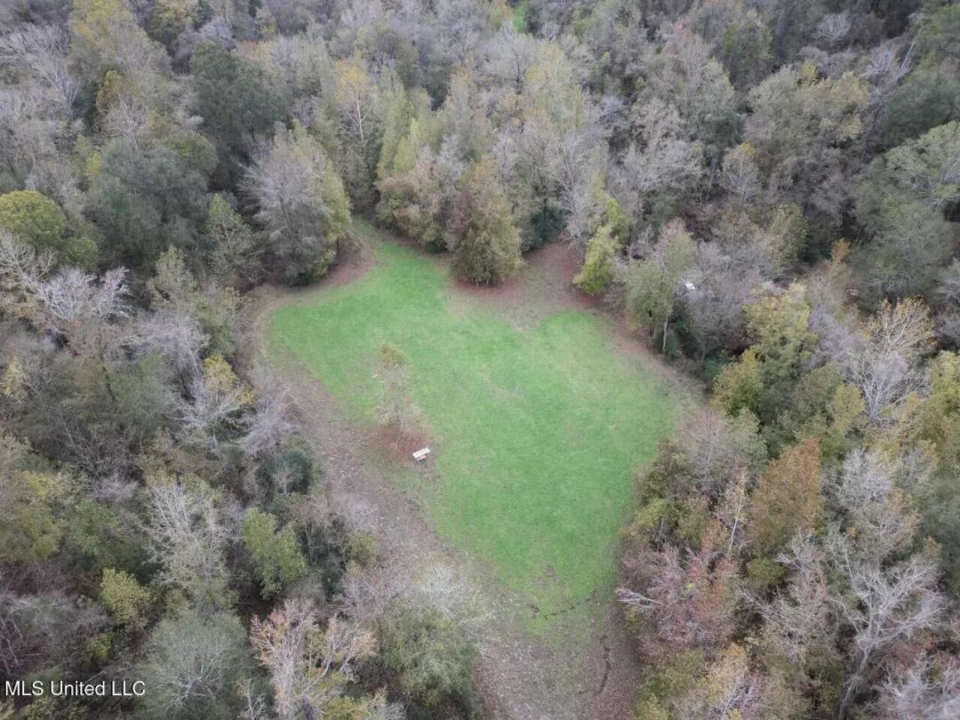 Woodville, MS - 40 Acres with Income-Producing Camp