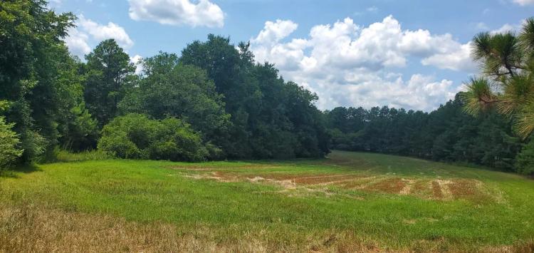 +/- 17ac - 1250 Cole Rd Biscoe NC - Montgomery Co