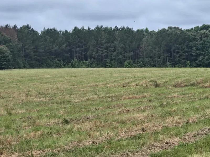 14.00 Acres at 0 Oak Village Road