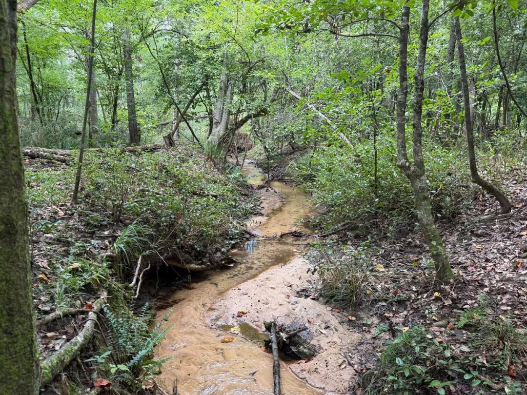 Watkins Pond Road Tract 1