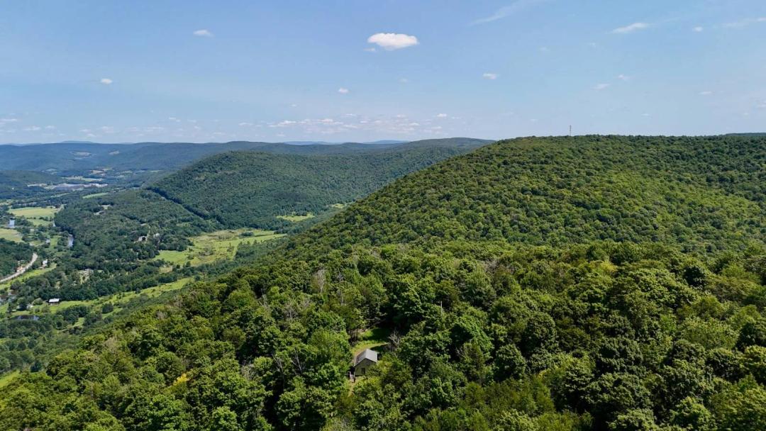 50.6 Acres with Off-Grid Cabin in Delaware County, NY