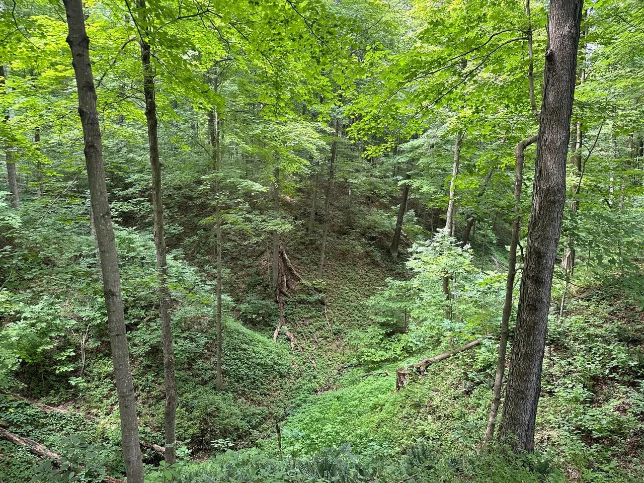 99685748-17