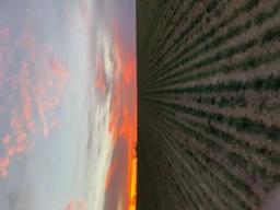 99747738-6