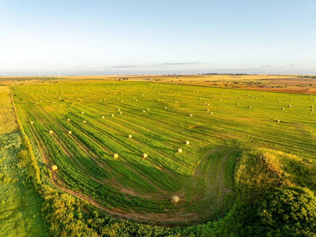 West Tract Rocky Tillable Farm