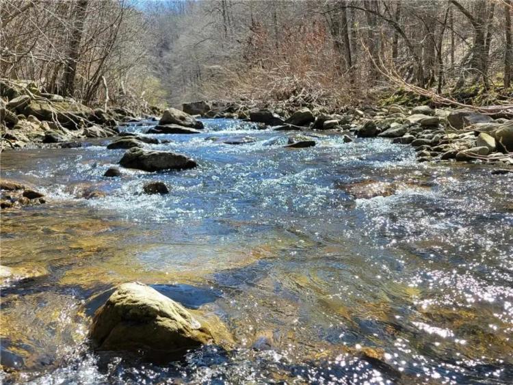 Little Buffalo River Acreage - Newton County