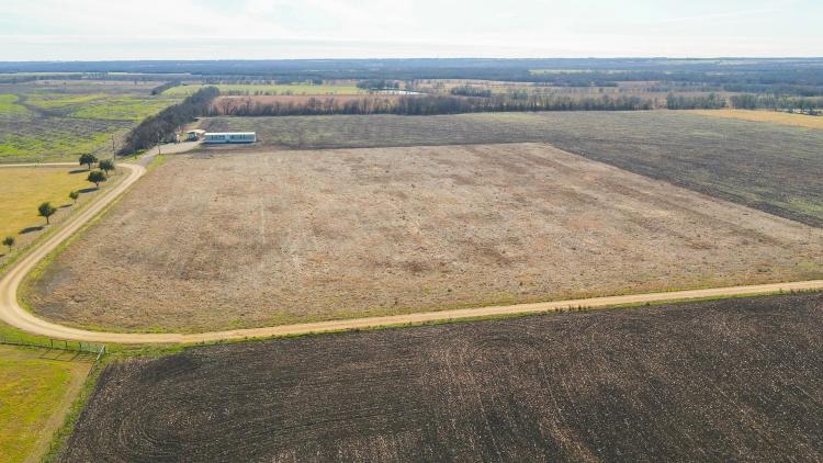 9.85 Acres in Milam County