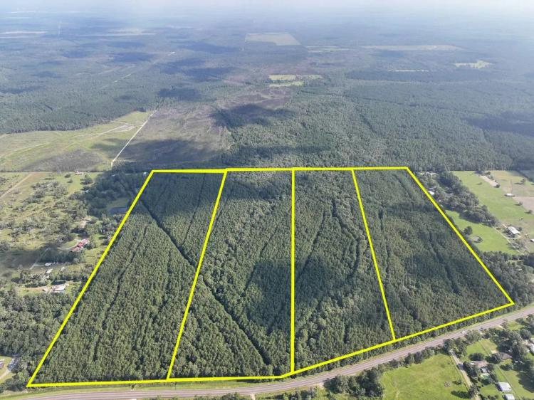 31 Acres | T-4 | FM 2802 | 287077