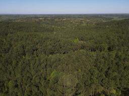 dji_fly_20250416_093900_972_1744847532492_photo