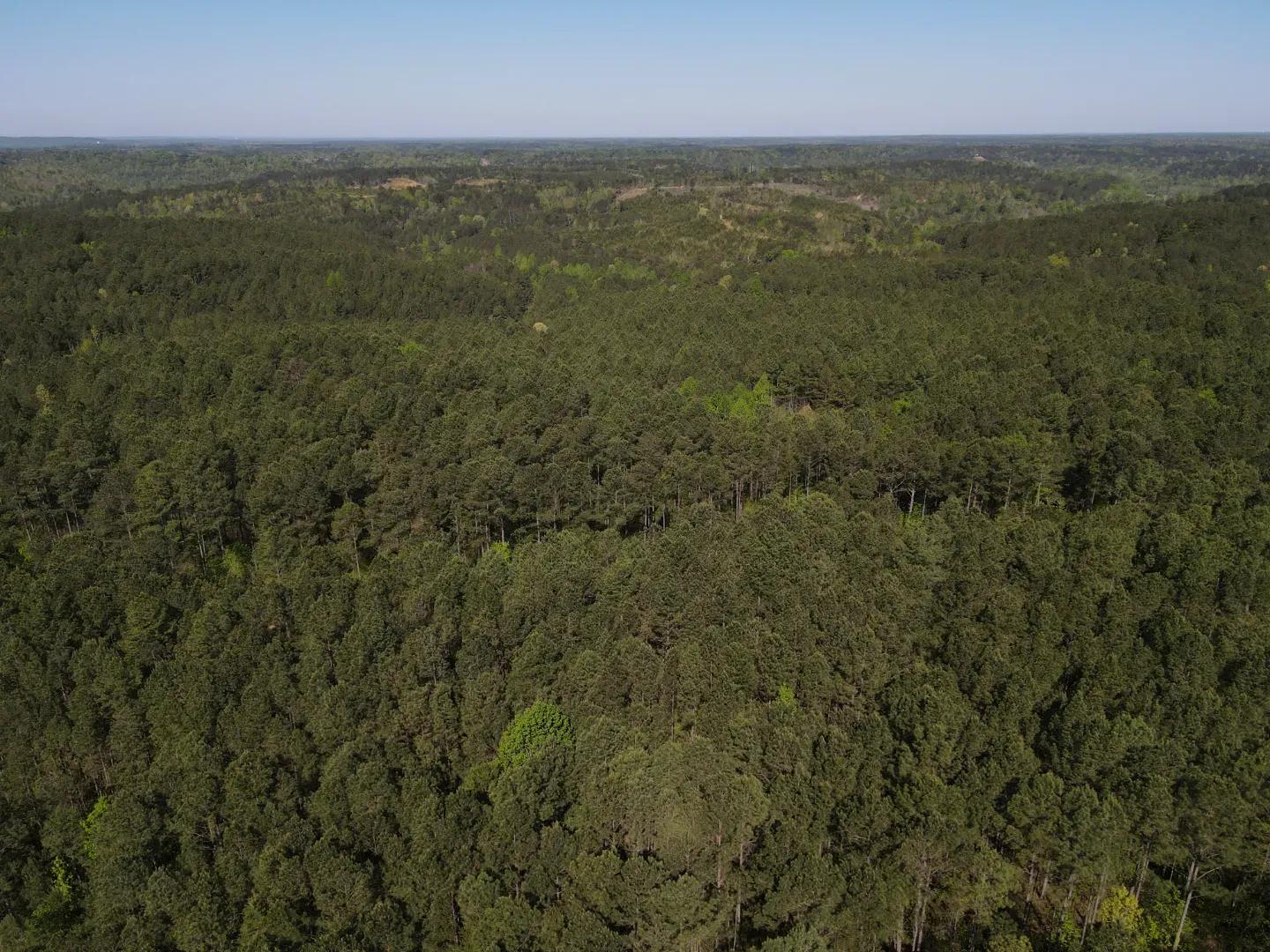 dji_fly_20250416_093900_972_1744847532492_photo