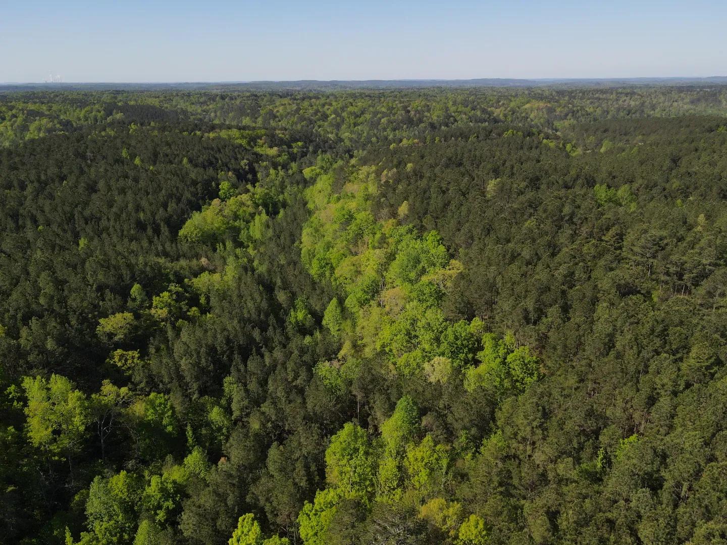 dji_fly_20250416_093906_973_1744847530509_photo