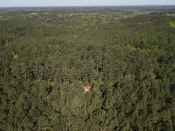 dji_fly_20250416_093928_974_1744814421469_photo