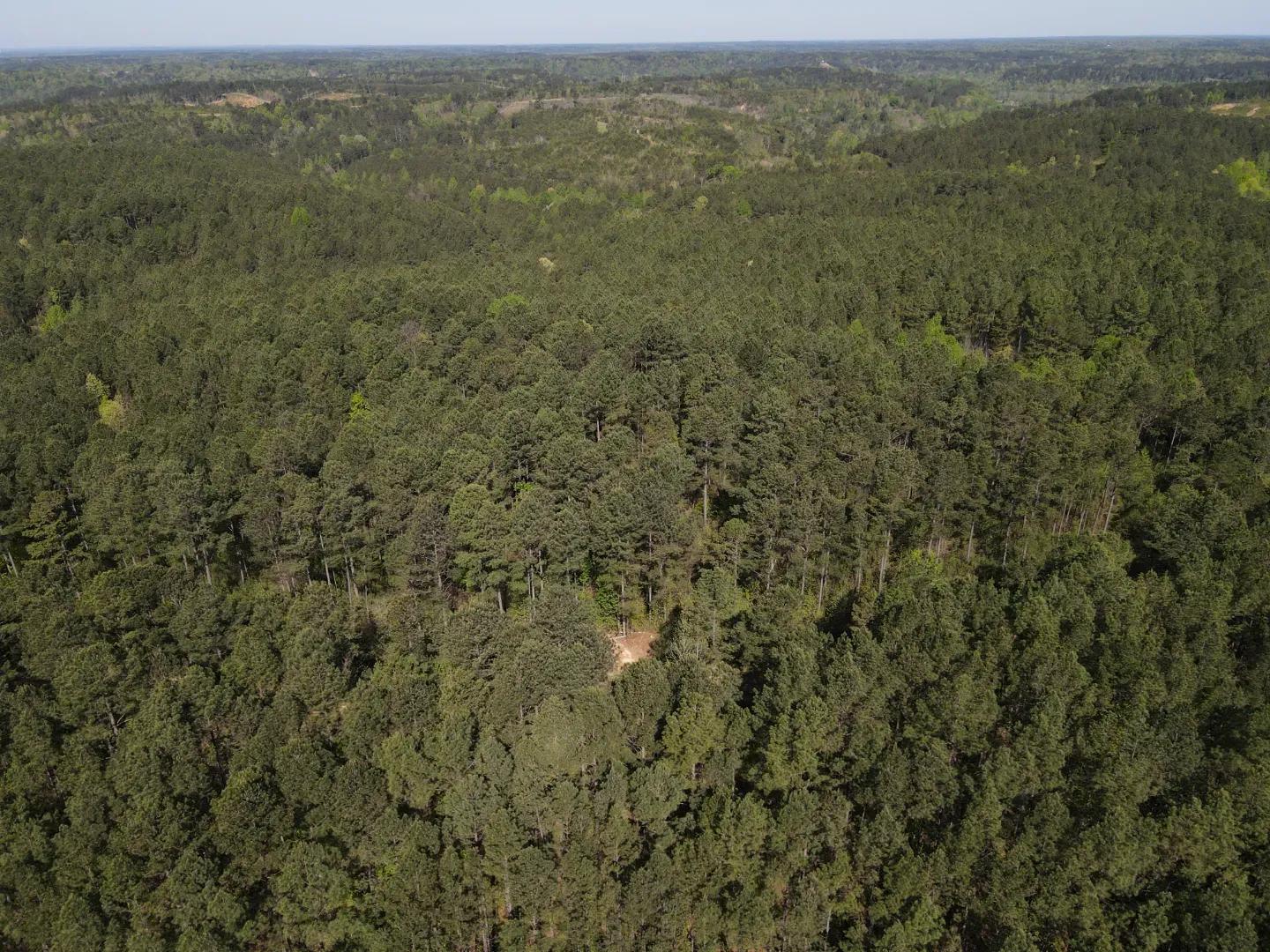 dji_fly_20250416_093928_974_1744814421469_photo