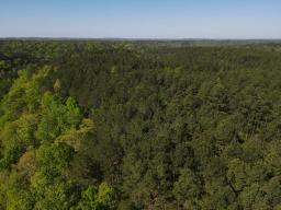 dji_fly_20250416_094000_976_1744817312570_photo
