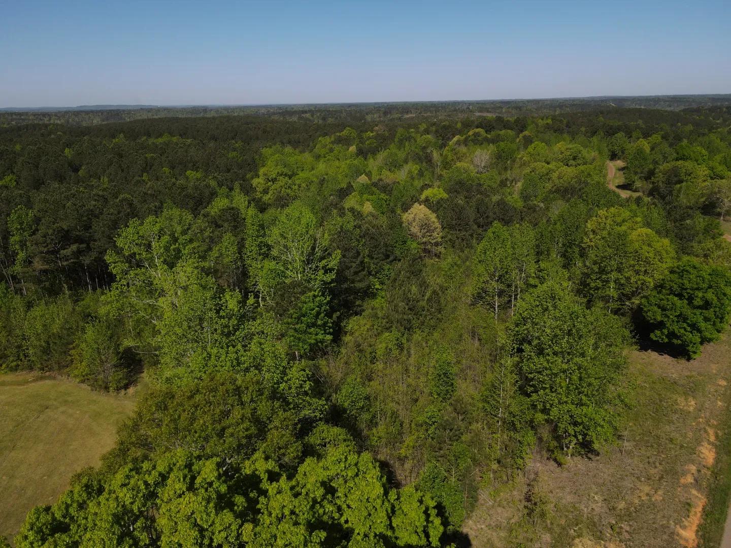 dji_fly_20250416_094318_980_1744817306666_photo