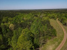 dji_fly_20250416_094340_981_1744817301054_photo