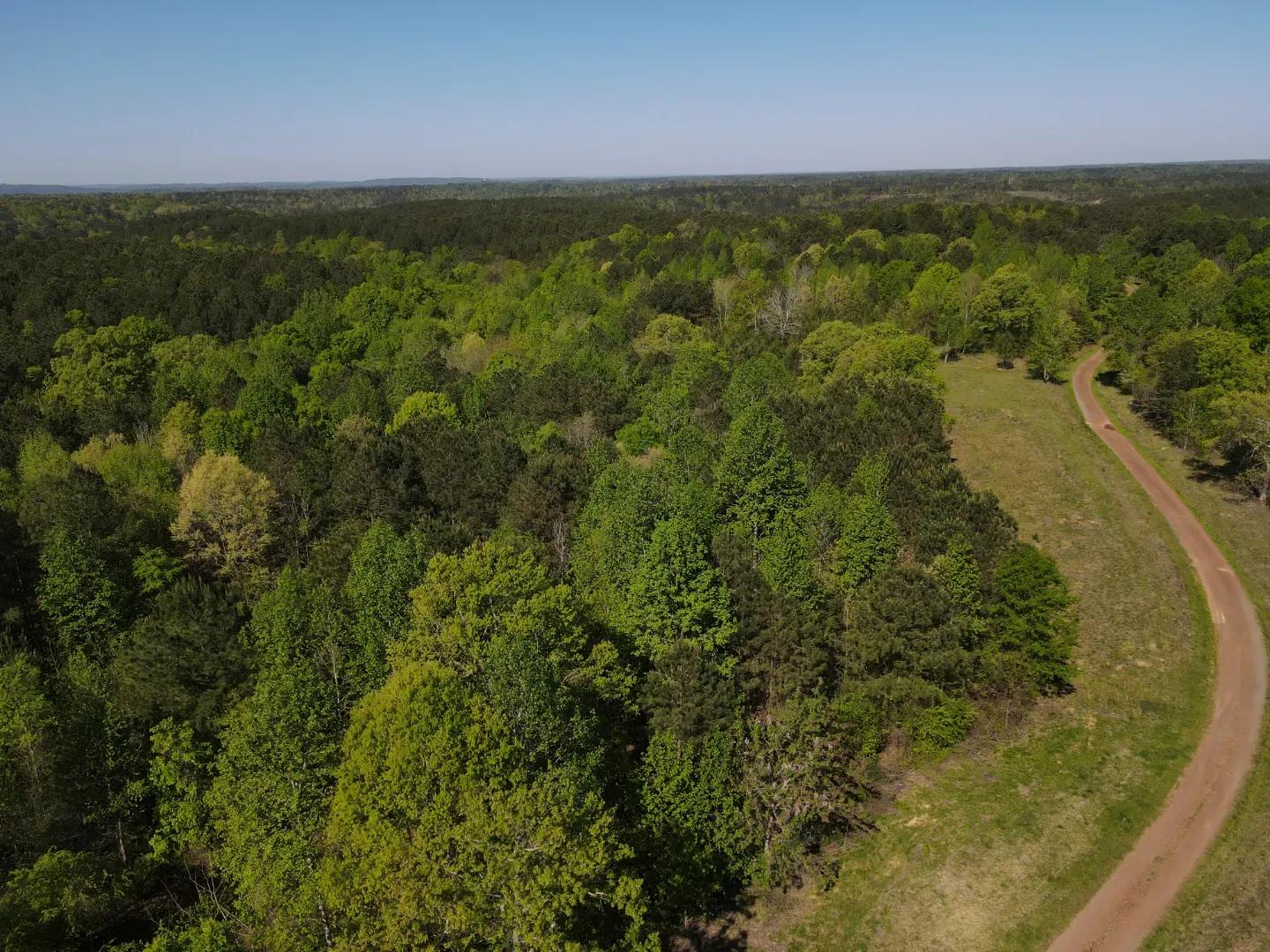 dji_fly_20250416_094340_981_1744817301054_photo