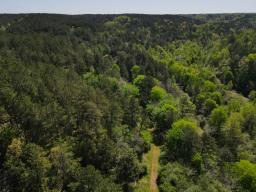 dji_fly_20250416_102746_983_1744817329284_photo