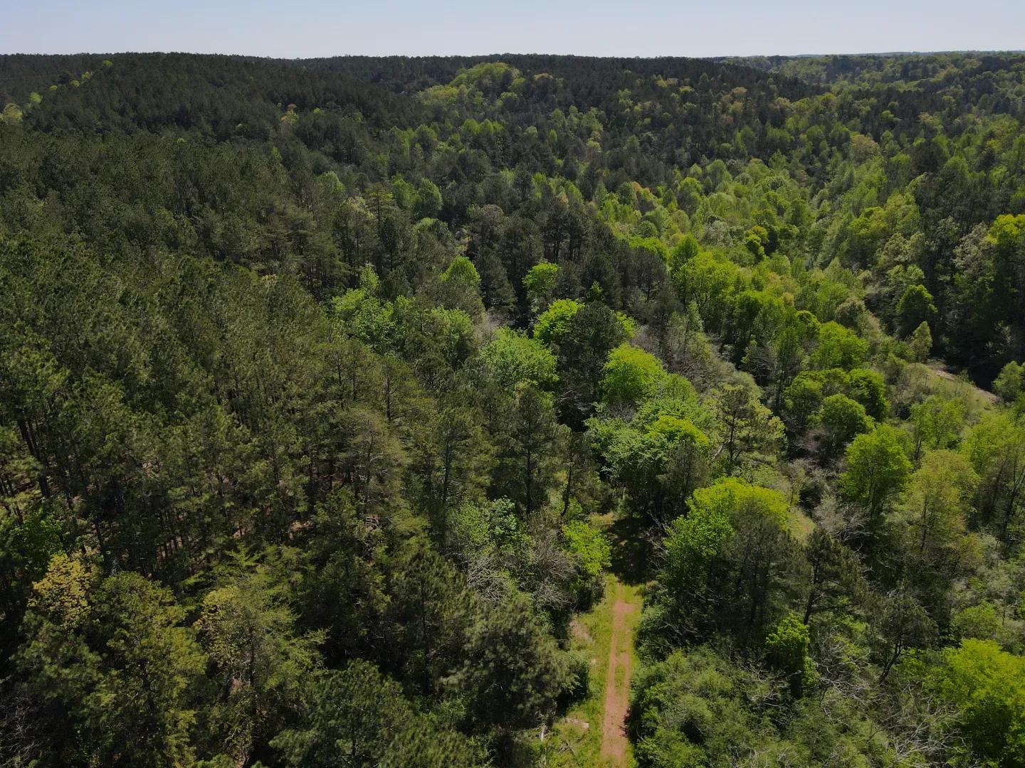 dji_fly_20250416_102746_983_1744817329284_photo