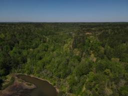 dji_fly_20250416_102828_985_1744817335578_photo