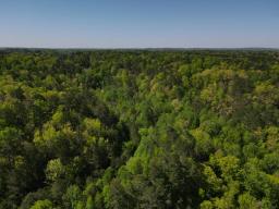 dji_fly_20250416_102840_986_1744817352864_photo(1)