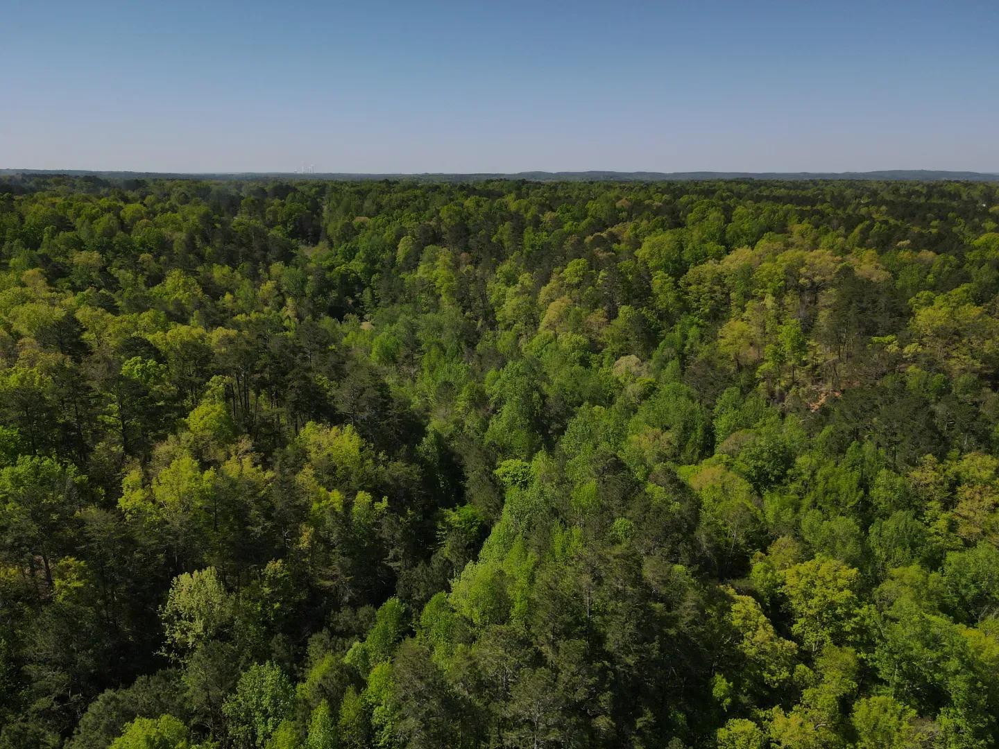 dji_fly_20250416_102840_986_1744817352864_photo(1)