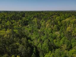 dji_fly_20250416_102854_987_1744817359442_photo