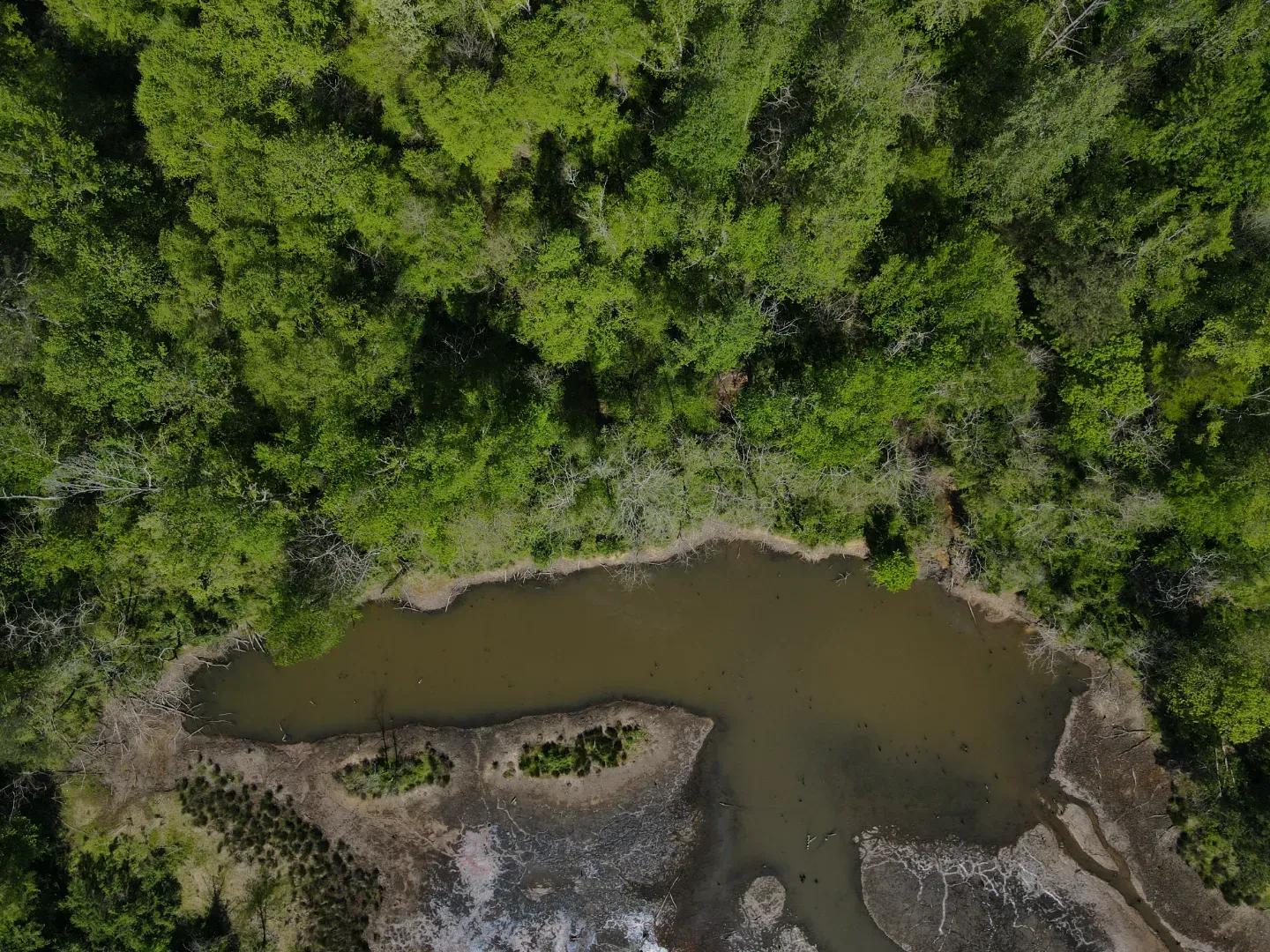 dji_fly_20250416_103014_990_1744847417042_photo
