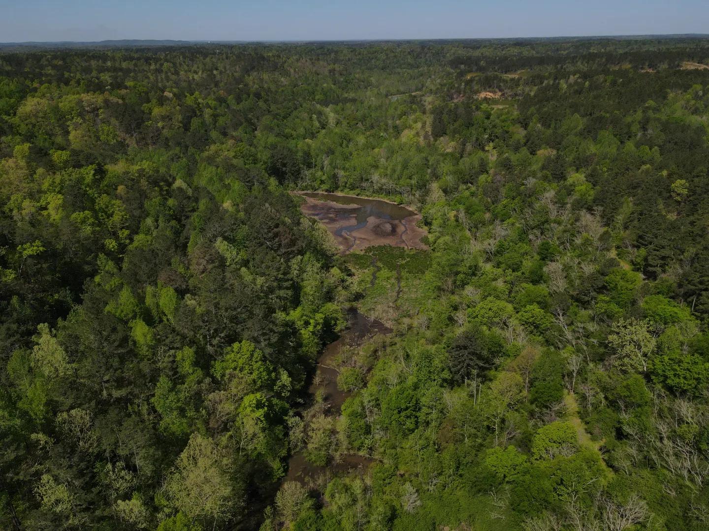 dji_fly_20250416_103134_991_1744847528968_photo