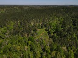 dji_fly_20250416_103210_994_1744847526986_photo