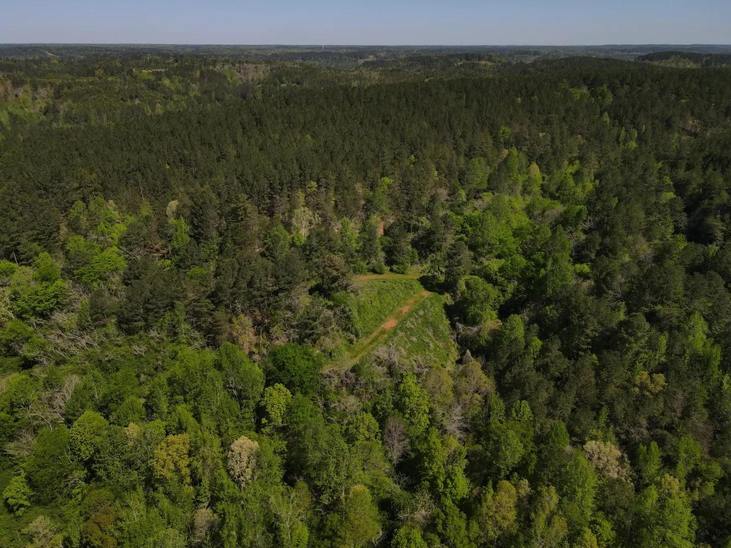 dji_fly_20250416_103210_994_1744847526986_photo