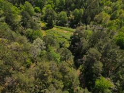 dji_fly_20250416_103318_997_1744847523010_photo