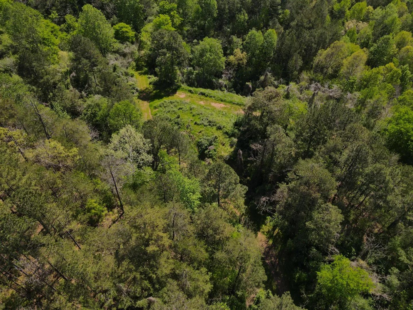 dji_fly_20250416_103318_997_1744847523010_photo