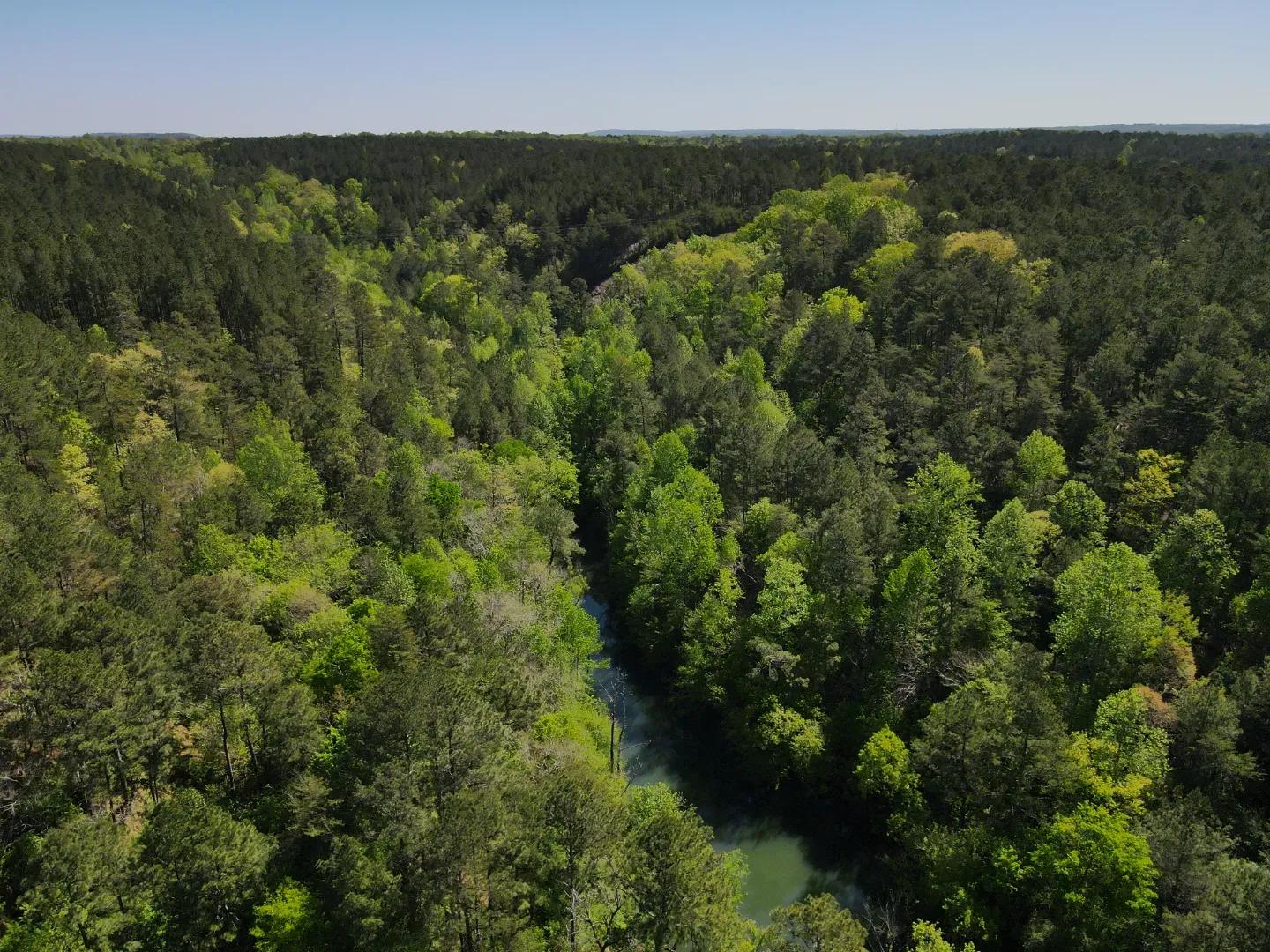 dji_fly_20250416_103440_999_1744847518409_photo