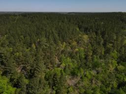 dji_fly_20250416_103506_2_1744847516288_photo