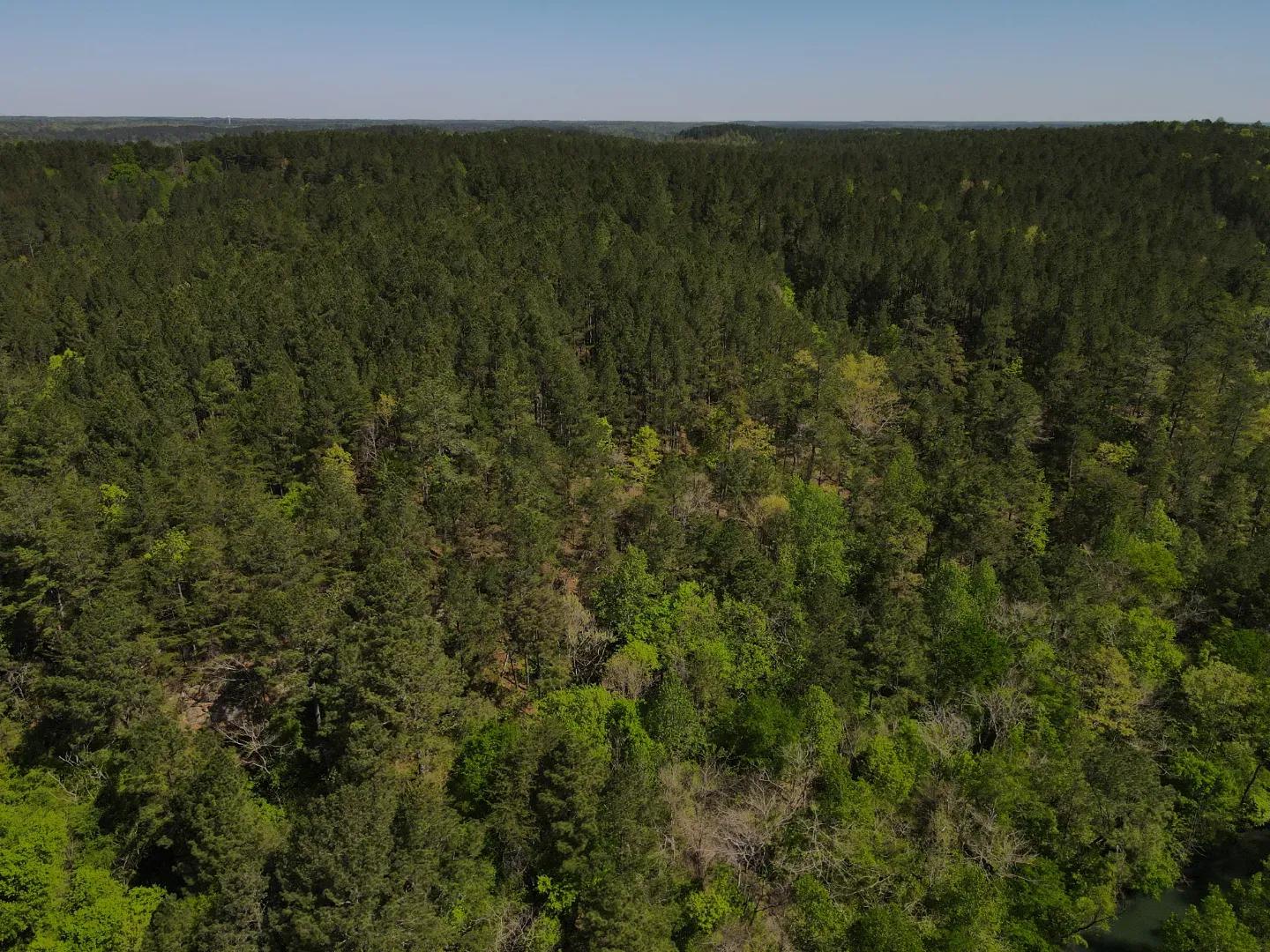 dji_fly_20250416_103506_2_1744847516288_photo