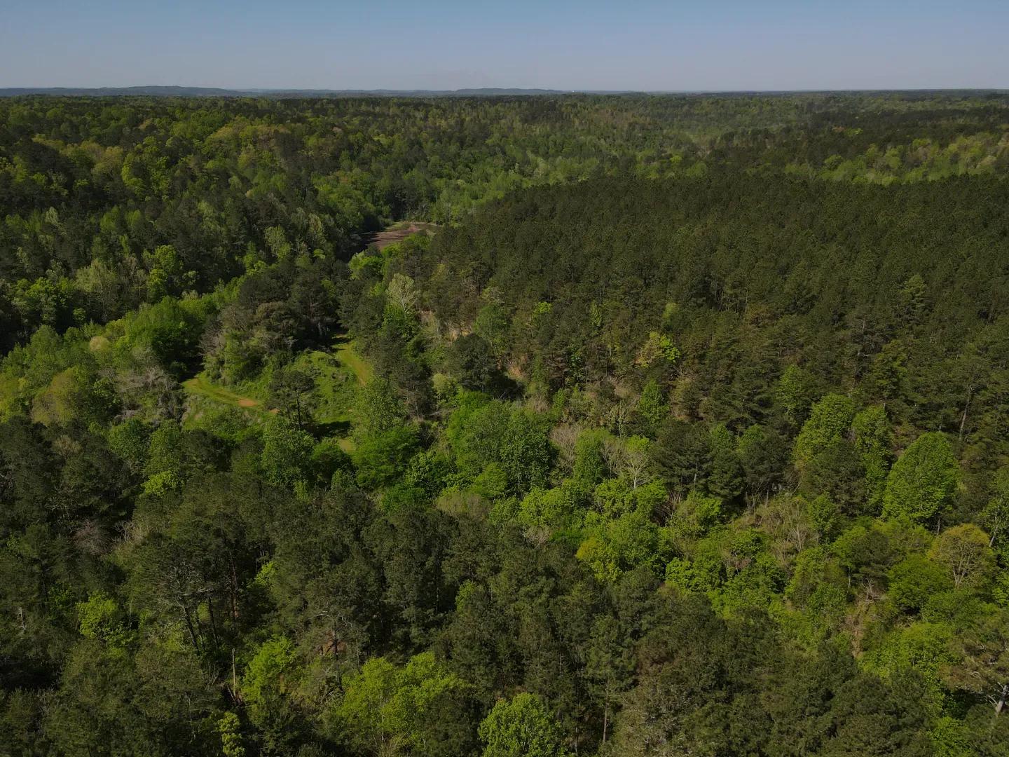 dji_fly_20250416_103620_4_1744847514112_photo